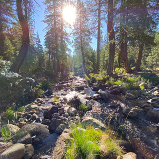 110: North Fork of the Sacramento River