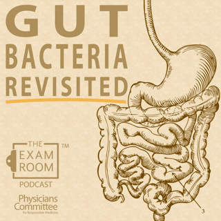 Gut Bacteria Revisited: Weight Loss, Meat and Processed Food