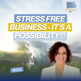 314. Stress Free Business - It's a Possibility!