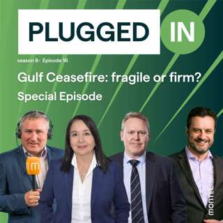 Gulf Ceasefire: fragile or firm?