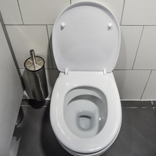 History of the Toilet
