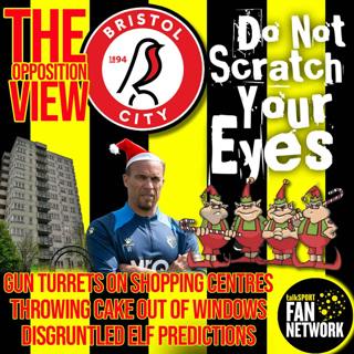 THE OPPOSITION VIEW - Bristol City (Home)
