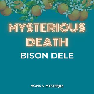 From the Archive: Bison Dele, the NBA Star Who Vanished at Sea