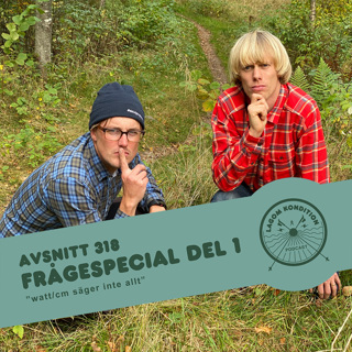 318. Frågespecial del 1