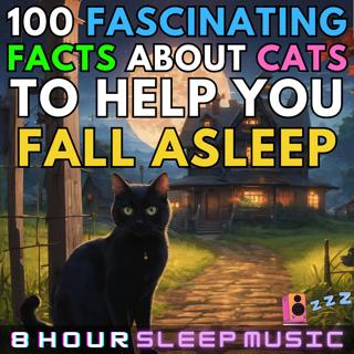 🐈 100 Fascinating Facts About Cats | 40-Minutes of Cat Facts with 8 Hours of a Cat Purring, Warm Fireplace, & Soft Piano for Sleep 💤