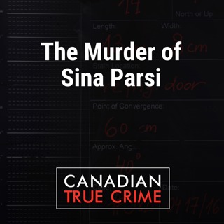 The Murder of Sina Parsi