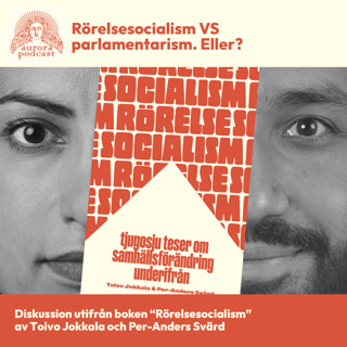 Rörelsesocialism VS parlamentarism. Eller?