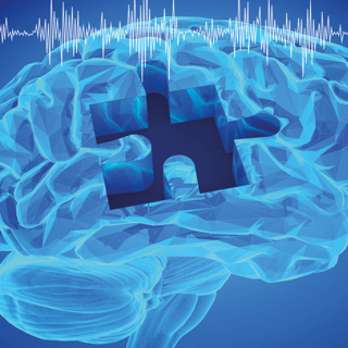 How Memories Are Made And Lost In The Brain - Professor Don Kulasiri, Lincoln University