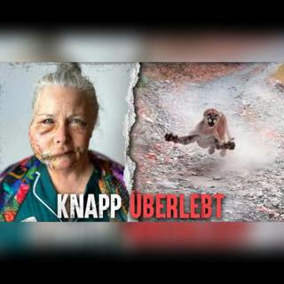 Die tödlichsten Pumaangriffe