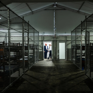 Alligator Alcatraz and the Rise of the Secret Police: What YOU Can Do About It
