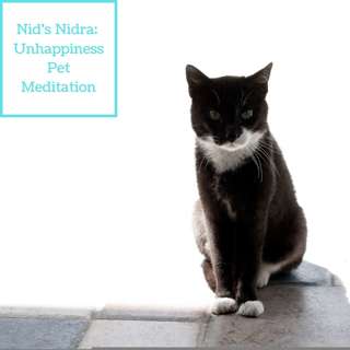 Unhappiness Pet Meditation for Forgiveness