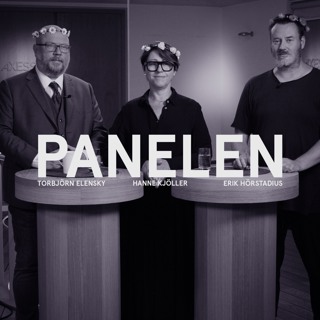 49. Panelen 2022 - Erdogans Nato-nej, sänkta krav på polisutbildningen och vem vinner valet?