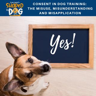 Consent In Dog Training: The Misuse, Misunderstanding And Misapplication #106