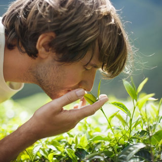 Ep. 50 Men's Herbal Health