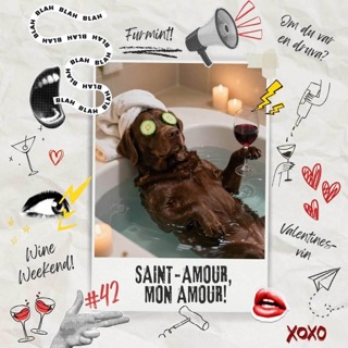 42: Saint-Amour, mon amour!