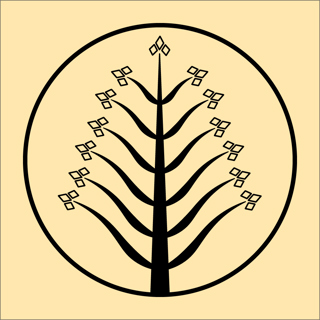 Sjukehusarkiktektur - Del 1