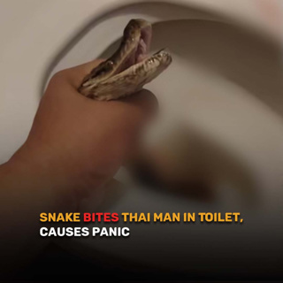 Good Morning Thailand EP.723 | Snake Bites Thai Man in Toilet, Causes Panic & More..