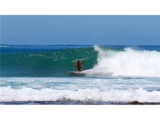 Mark "DIP" DePena: Sydney Surfer Poetry!