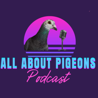 150. Why Pigeons Make the Perfect Pet with Balfouri