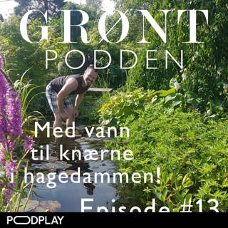 #13 Med vann til knærne i hagedammen