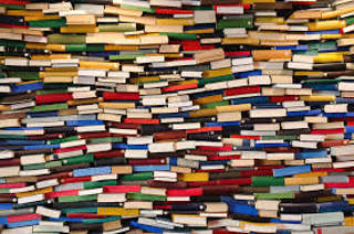 Book Club Poll - VOTE NOW!