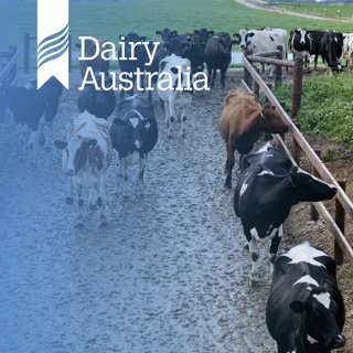Animal health in wet conditions: Lessons from flooding