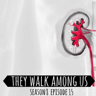 Organ Harvesting Scheme / Ike Ekweremadu & Dr Obinna Obeta