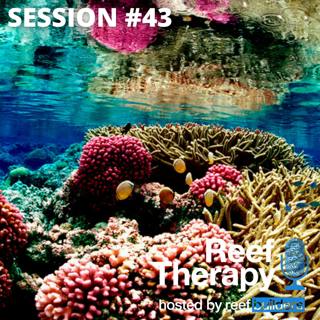 How Reef Tanks Compare to Natural Reefs