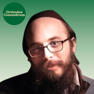 Reorganizing the Letters of Reality: A Mystical and Chassidic Approach to Prayer, with Rabbi Dovid'l Weinberg (221)