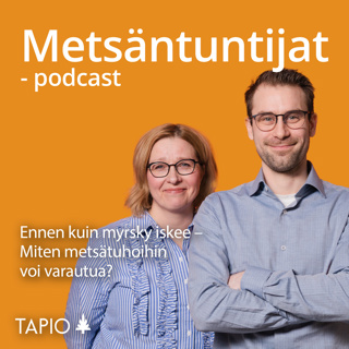 Ennen kuin myrsky iskee – Miten metsätuhoihin voi varautua?
