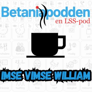 Imse vimse William - en bok om autism