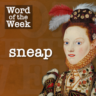 Tudor Time Machine Word of the Week (NEW): Sneap