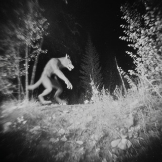 3 TRUE SCARY BIGFOOT SIGHTING HORROR STORIES