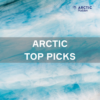 Arctic’s top picks - Juleutgave