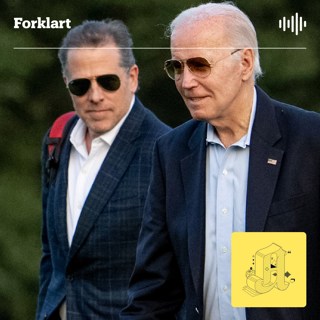 Derfor kan Joe Bidens sønn bli et kjempeproblem