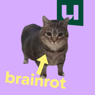 830. Gaat je brein echt 'rotten' van brainrot?