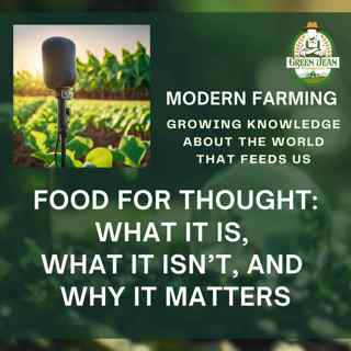 Food for Thought: What It Is, What It Isn’t, and Why It Matters