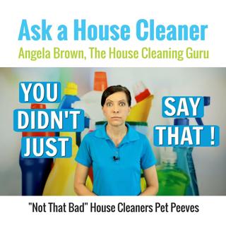 "Not That Bad" House Cleaners Pet Peeve