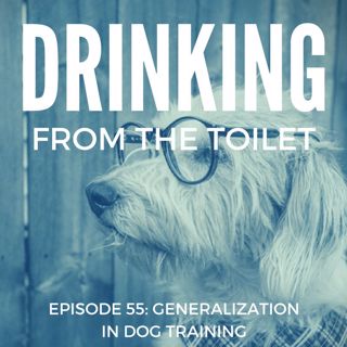 #55: Generalization In Dog Training