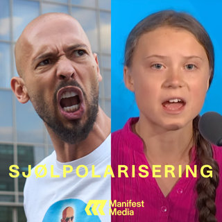 SJØLPOLARISERING#6: Kjønnskrigen