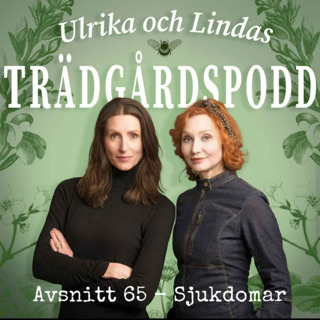 Avsnitt 65 - Sjukdomar