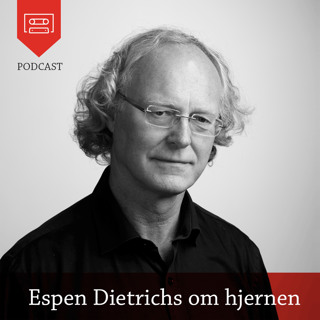 Espen Dietrichs om hjernen - Podcast fra Universitetsforlaget