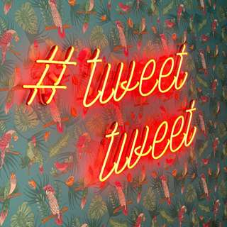 Episode 355: That’s why he runs my Marketing department