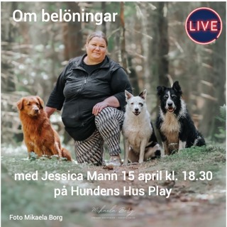 Inför "Om belöningar" den 15 april med Jessica Mann