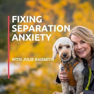 004: Reasons You Need To Treat The Cause Not The Symptoms Of Separation Anxiety