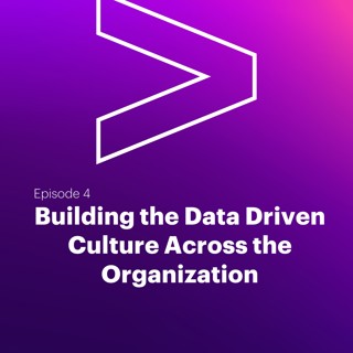 AI Leaders Podcast #4: Building the Data Driven Culture Across the Organization