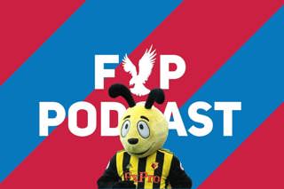 FYP Podcast 263 - Harry Hornet can buzz right off