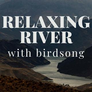 Relaxing Bird Sounds - Relaxing Nature Sounds of Birds by a River