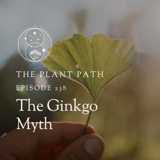 The Ginkgo Myth