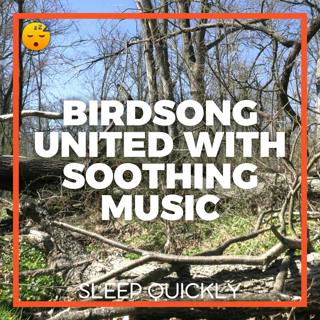 😴🍂🎵 BIRDSONG United with Soothing MUSIC for Deep SLEEP